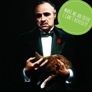 I CONSIDER ALL OFFERS